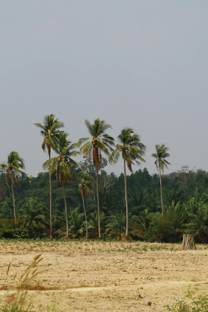 Climate-Smart Agriculture