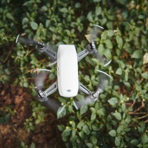 10 Innovative Farming Techniques Transforming African Agriculture